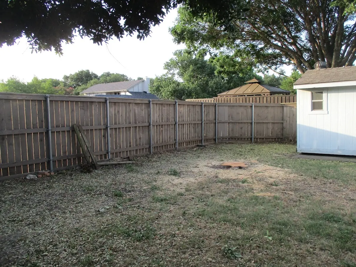 Cleared yard after professional tree removal in Collinwood